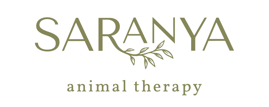 Saranya Animal Therapy